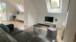 Au bonheur des Anes - Gîte Idylle - Image 2