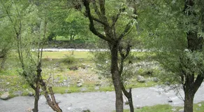 Hakeem Homestay - Image 5