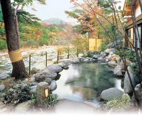 Kinugawa Onsen Hana no Yado Matsuya - Image 5