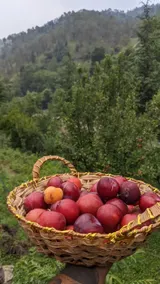 Oakhill homestay - Image 4