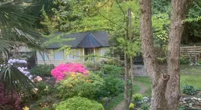 Quiet Backyard Cabin - Image 4
