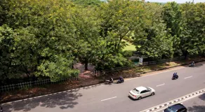 Hotel The Viva - Inn Guesthouse-Near Dr Babasaheb Ambedkar Park, Only Indian Alved - Best Hotel In Goa - Image 3