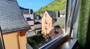Pension Regina/Gräfenhaus - Image 4