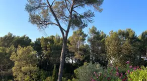 La Farigoule - Sainte-Victoire - Vue exceptionnelle sur Aix-en-Provence - Image 2