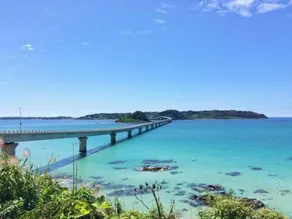 角島ゲストハウスSumikkoオーシャンビューの犬がいるゲストハウスで特別な交流体験 - Image 4
