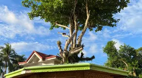 Terrasse Beach Resort - Image 3