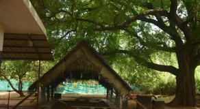 Travellers Crib by Crib community - Image 2