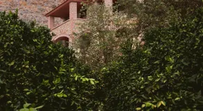 NafplioBiofarms Country Apartments - Image 4