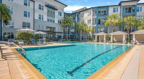 Luxury apt in St Pete clearwater Near Beaches Downtown - Image 3