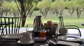 Le Jardin des Amandiers - Image 4
