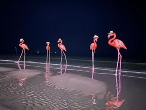 Flamingo Hai Tien Beach Ibiza 532 - Image 3