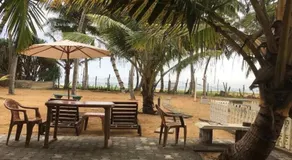 Mbeach Nest - Image 4