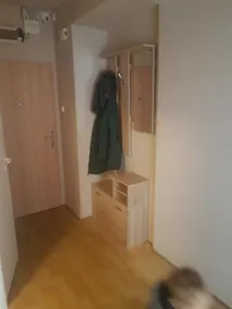 Klidny byt 2+1 s balkonem - Image 1