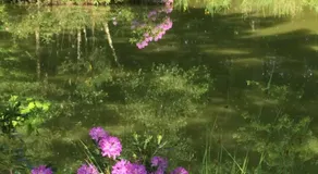 The Firs - Image 3