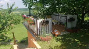 Guest House Jevtović - Image 5
