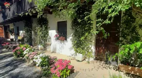 La Collina dei Passeri - Image 5