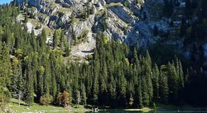 Bergchalet mit Panoramablick nahe Brienz - Image 4