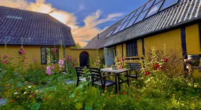 Dyrlev Bed & Breakfast - Image 4