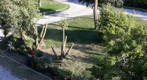 Casa Vacanze nel Verde a 5 Km dal mare - Image 4