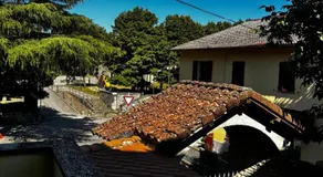 Appennino nord - Image 3