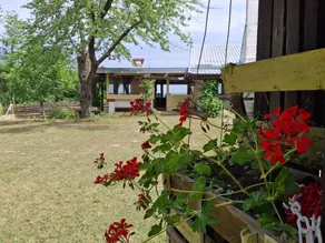 Holiday Home Nadira - Image 5