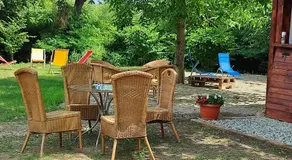 Dumbrava Minunată - Image 3