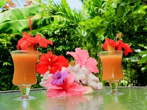 Buisson Guesthouse - Image 3