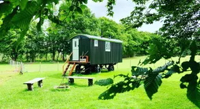 The Little Green Shepherds Hut - Image 5