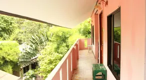 Miss Tim House - Image 2