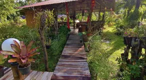 Koom Kachanaan - Image 4