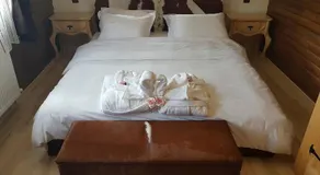 Вила Поликсения Петиня - Image 2
