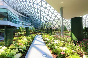 Days lnn by Wyndham Rayong U-tapao - Image 5