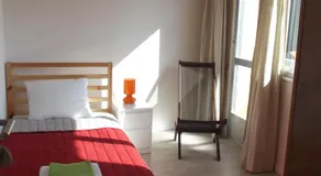 O Cabalo Verde - Image 2