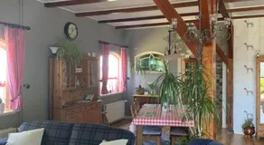 B&B De Kaagse Koe - Image 4