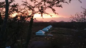 Bagheera Bagh Jawai - Image 2