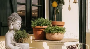 Casa Joop-dolce far niente - Image 5