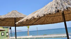 Palm Garden - Image 5
