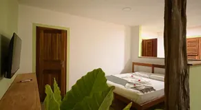 Jandaia Atins - Image 2