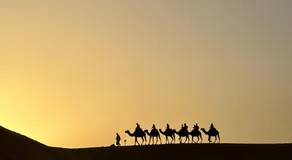 morocco sahara desert camp & activities - Image 3