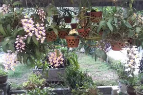 Ciel Homestay - Image 4