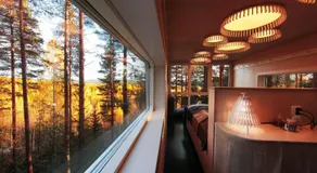 Treehotel - Image 3