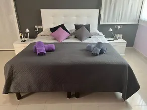 Washingtonia Villa near Sitges - Image 2
