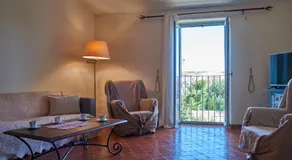 Jardin de Palme - Image 2