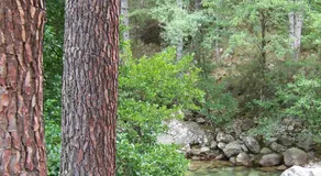 Vanina Park - Image 5
