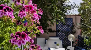 La Porta Blu - Image 2
