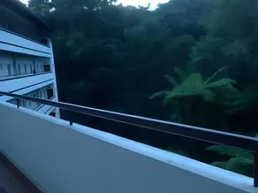 Misty Apartments@Iris House Resort - Image 3