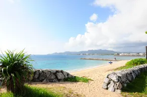 Fishing Step Nago Inn Emerald Beach - Image 5