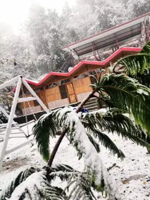 THE NATURE TREAT RESORT - Image 3
