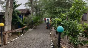 Narayani view resort - Image 3