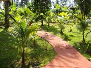 Monkey Lodge Bed & Breakfast - Image 4